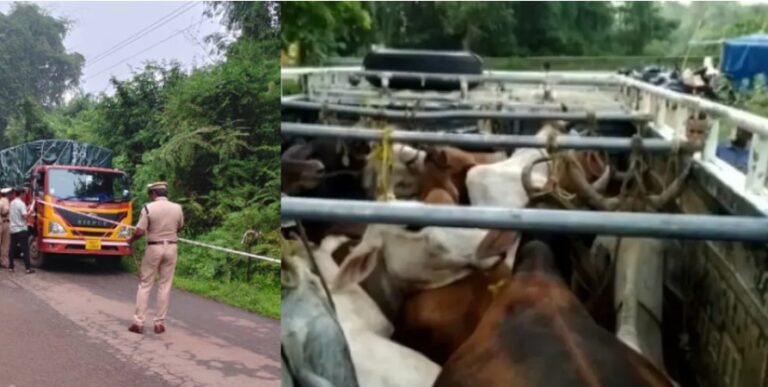 Screenshot 2025-10-22 115849