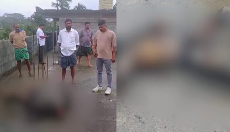 Screenshot 2025-10-28 095836