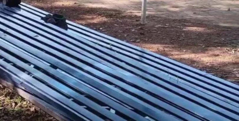 Screenshot 2025-10-31 114104