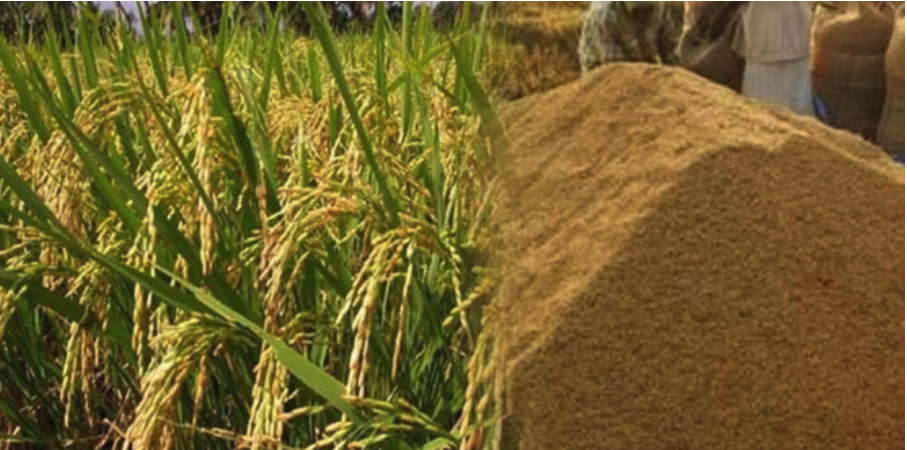 Screen Shot 2025-11-10 at 10.47.51 AM