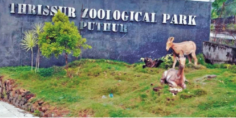 Screen Shot 2025-11-11 at 3.44.37 PM