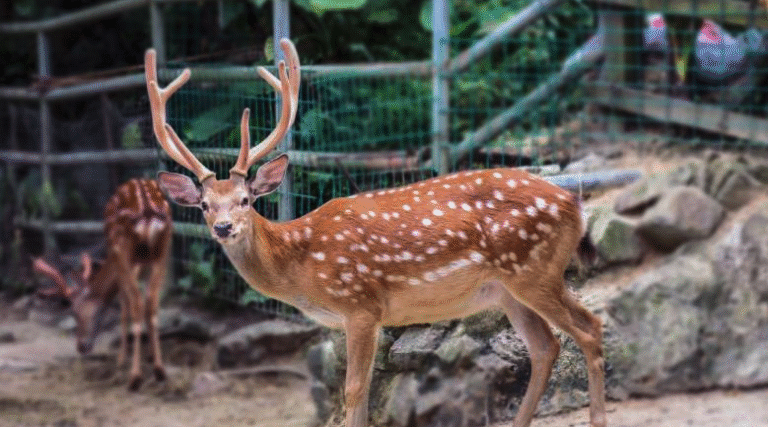 Screen Shot 2025-11-12 at 10.09.22 AM