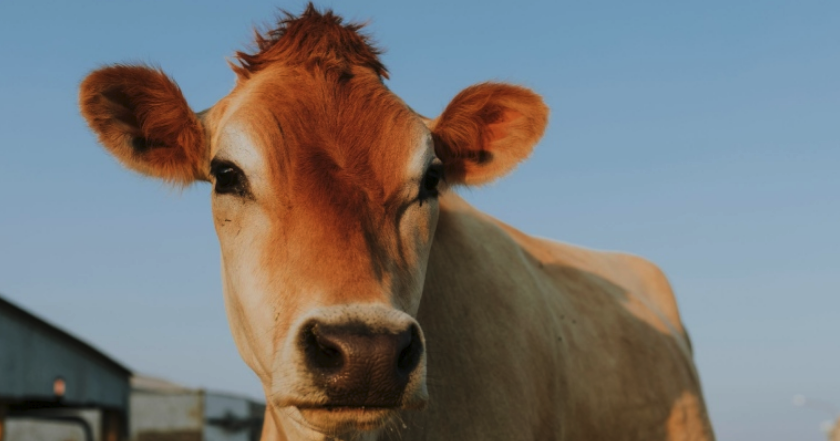 Screen Shot 2025-11-13 at 12.08.53 PM