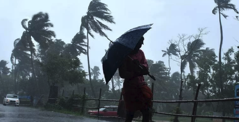 Screen Shot 2025-11-15 at 3.54.18 PM