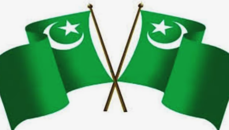 Screen Shot 2025-11-21 at 11.45.42 AM