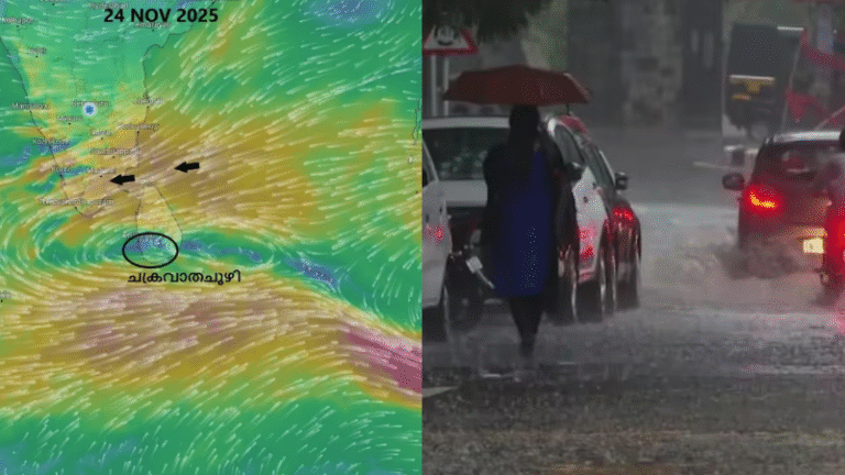 Screen Shot 2025-11-24 at 3.37.24 PM