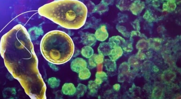 Screenshot 2025-11-03 112427