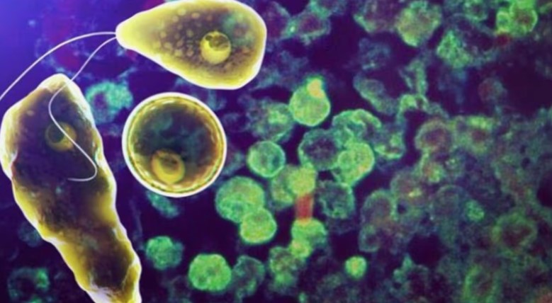 Screenshot 2025-11-03 112427