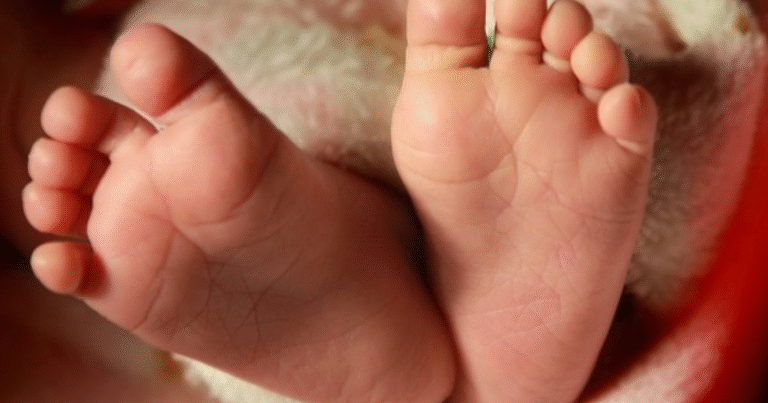 Screenshot 2025-11-03 121414