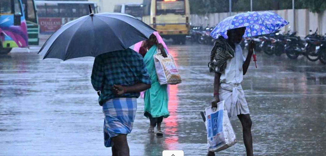 Screenshot 2025-11-29 112802