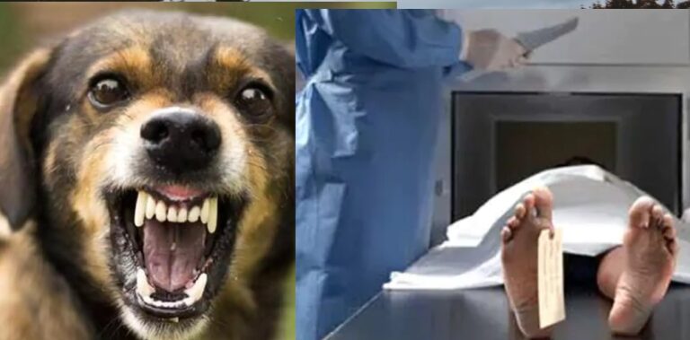 nm-2025-11-15T113846.498