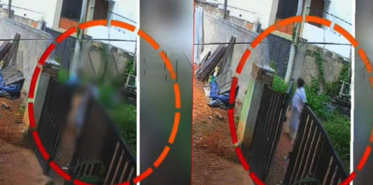 wmremove-transformed