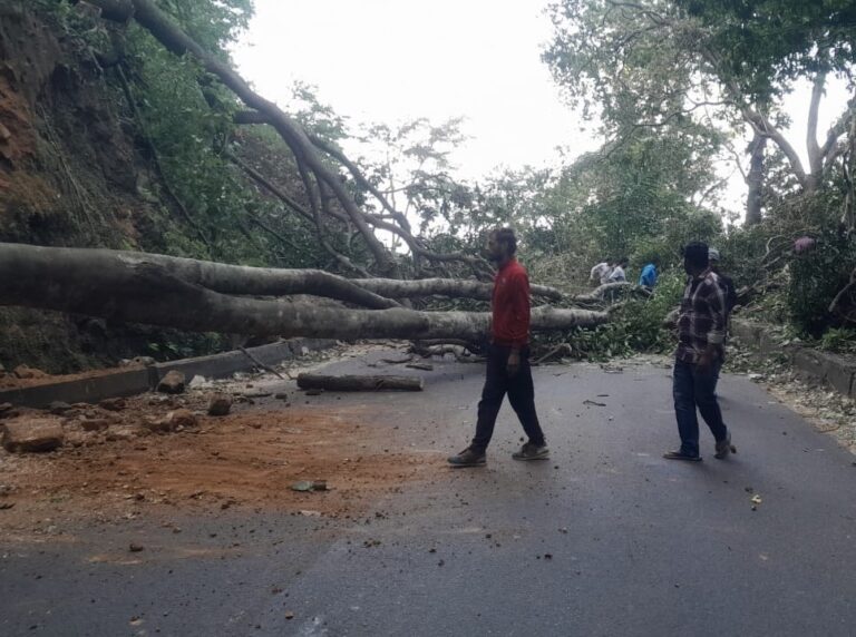 1d93e697-3c8b-4a7e-9df3-a7b35e4f7792_EcVqZvB