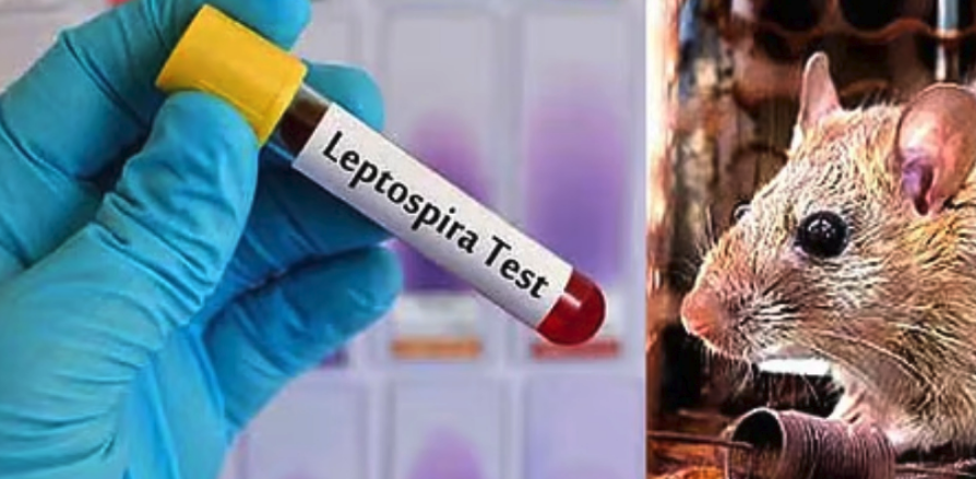 Screen Shot 2025-12-02 at 11.40.07 AM