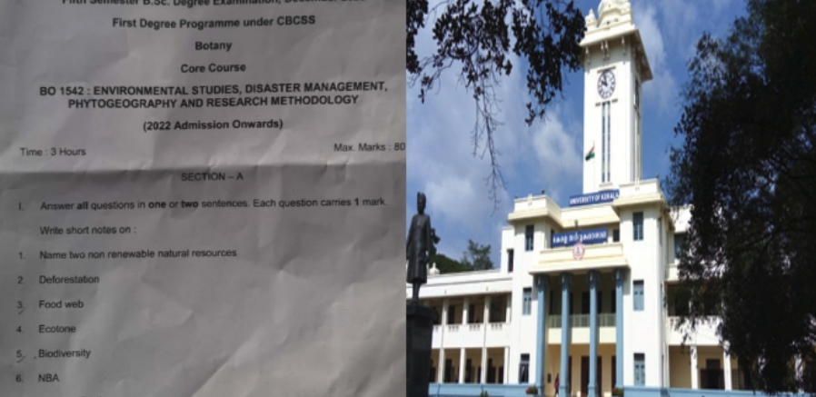 Screen Shot 2025-12-04 at 12.43.25 PM