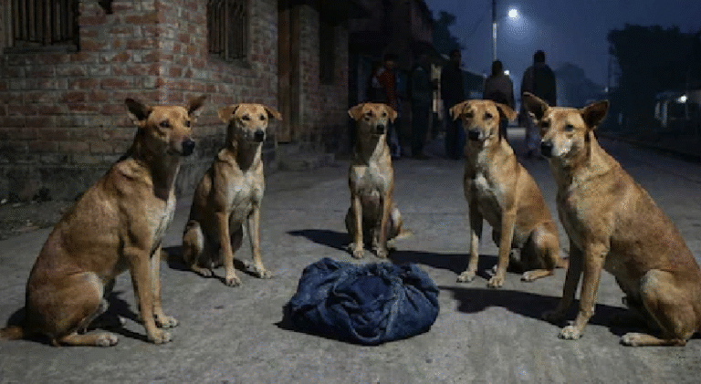 Screen Shot 2025-12-04 at 3.28.56 PM