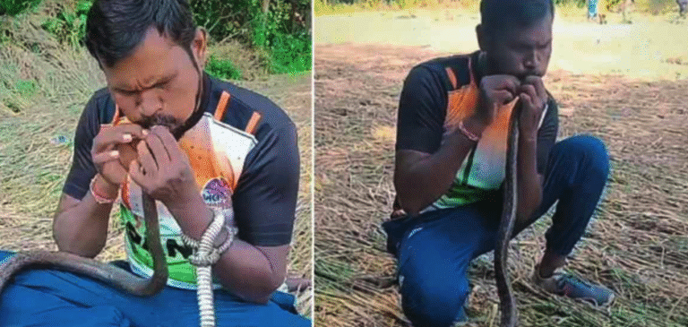 Screen Shot 2025-12-05 at 4.20.24 PM