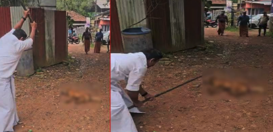 Screen Shot 2025-12-08 at 10.02.58 AM