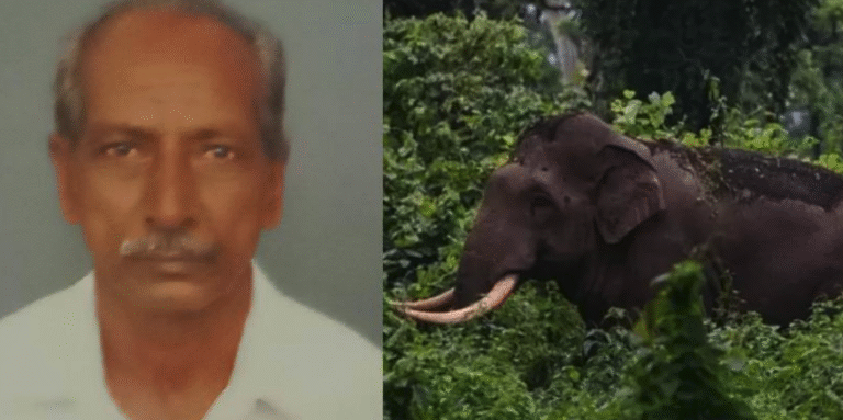 Screen Shot 2025-12-08 at 10.49.15 AM