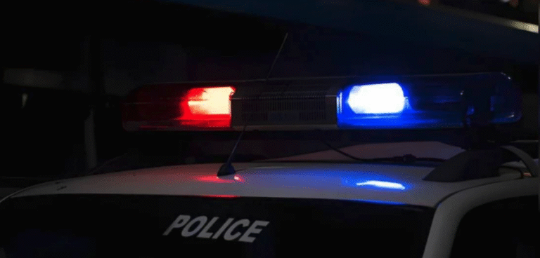 Screen Shot 2025-12-19 at 11.51.49 AM