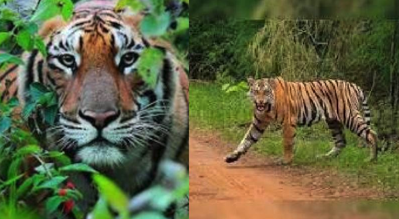 Screen Shot 2025-12-20 at 2.49.37 PM