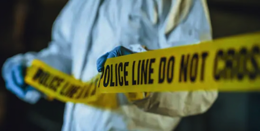 Screen Shot 2025-12-20 at 3.32.08 PM