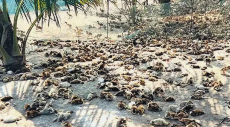 Screen Shot 2025-12-23 at 2.57.17 PM