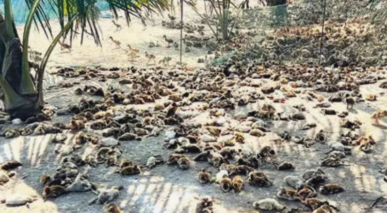 Screen Shot 2025-12-23 at 2.57.17 PM