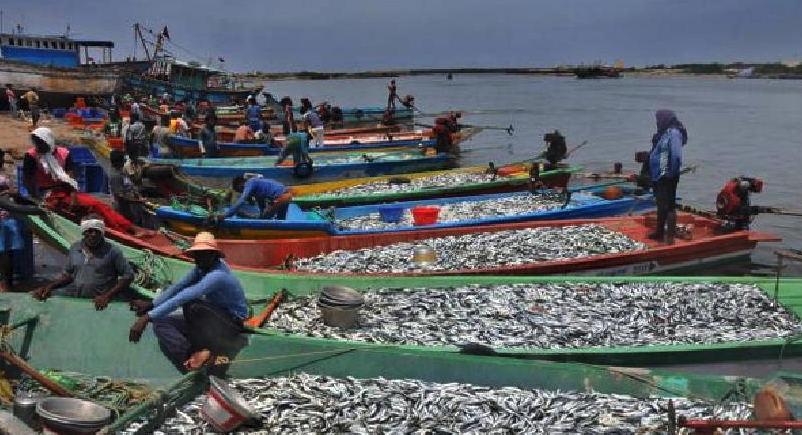 Screen Shot 2025-12-23 at 3.45.41 PM