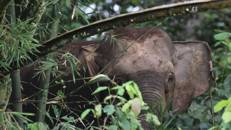 Screen Shot 2025-12-26 at 10.39.18 AM