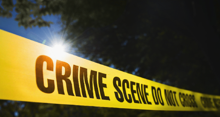 Screen Shot 2025-12-31 at 3.12.29 PM