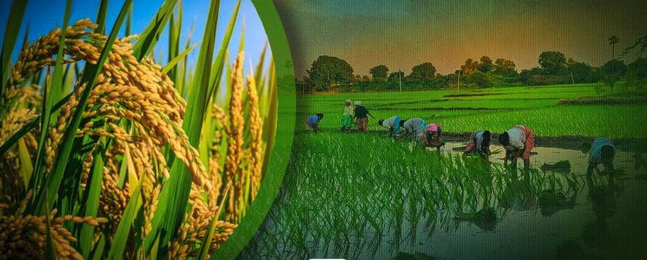 Screen Shot 2025-12-31 at 3.53.48 PM