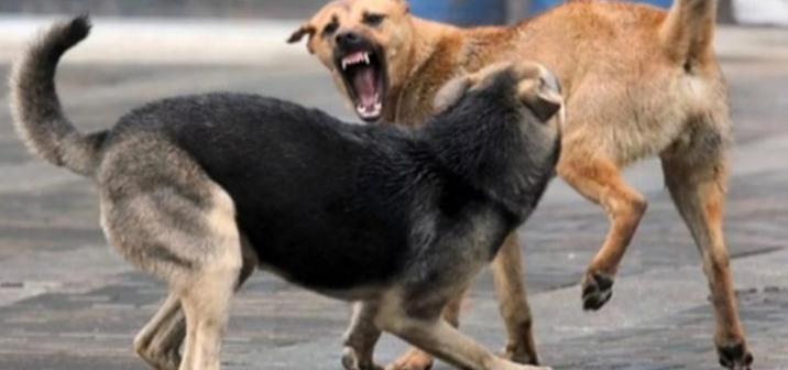 IMG_20260121_115212_ABIRHG1