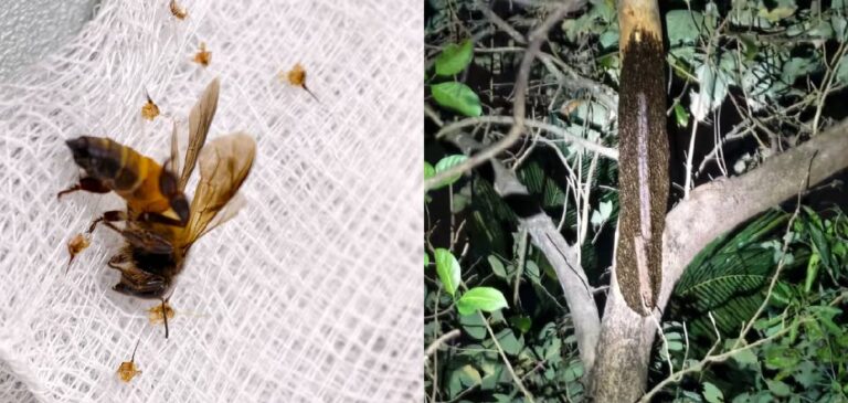 KJ5zQZb2tsjYKt0cqWcCbecMLptZ8ZOSKmSS811d