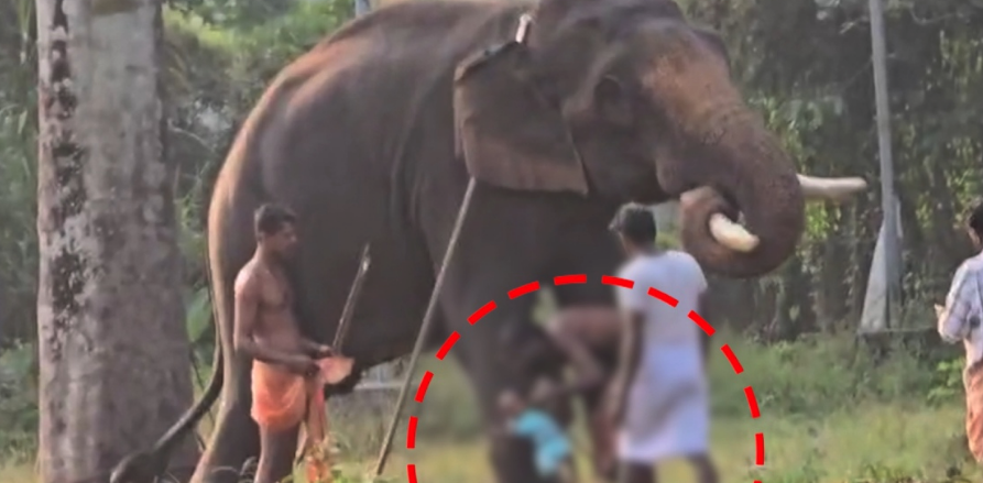 Screen Shot 2026-01-07 at 3.18.47 PM