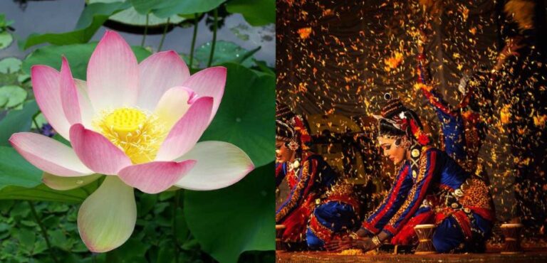 Screenshot 2026-01-10 130824