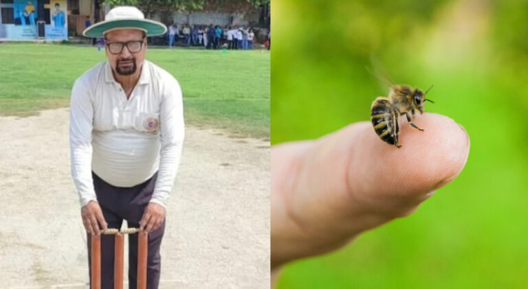 New-Project-2026-02-19T151413.013