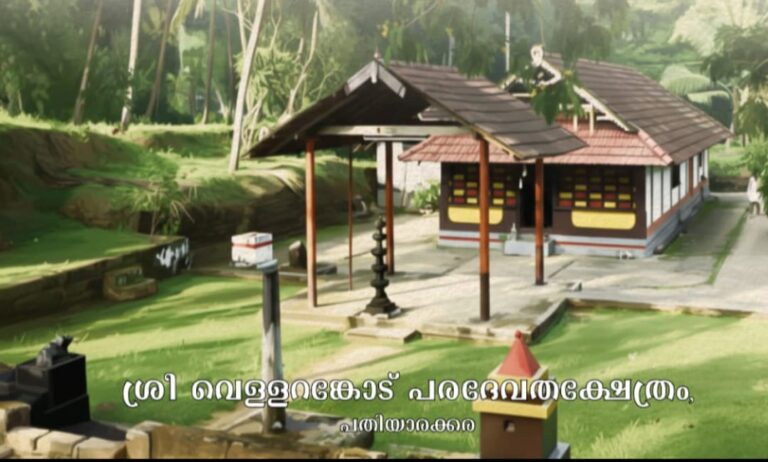 WhatsApp Image 2026-02-24 at 3.34.17 PM