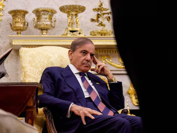 shehbas-2026-02-5d3759ef067d44382523cce7c661cad6