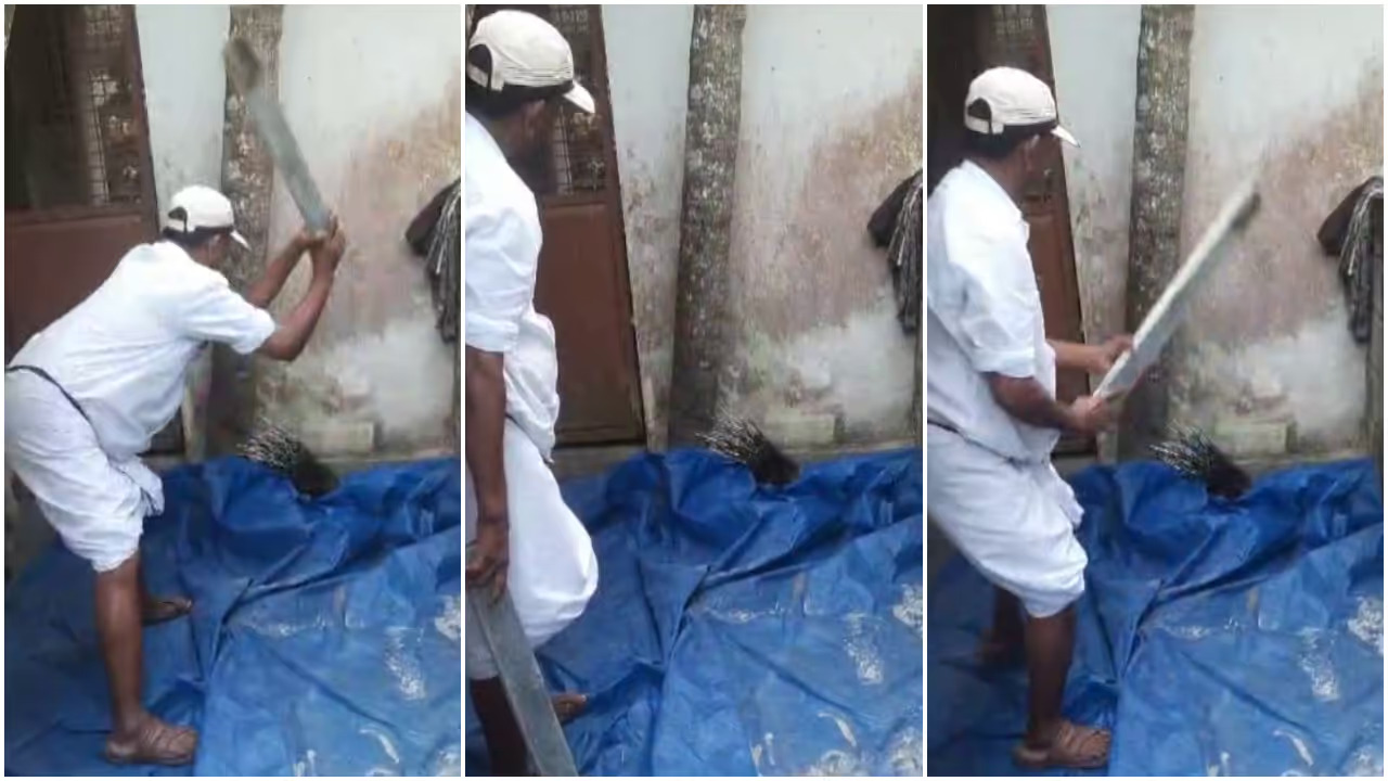 w-1280,h-720,croprect-0x0x1280x720,imgid-01kjhdvwc6nxj2tk6n4s8s9sp8,imgname-fotojet---2026-02-28t113913.822-1772258980229