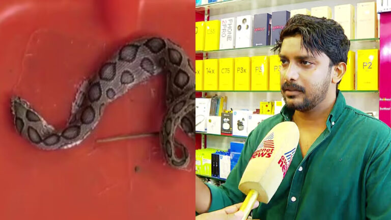 w-1280,h-720,croprect-0x1x1280x719,imgid-01kh5krjf8hykc2ap393c0ht81,imgname-fotojet---2026-02-11t111543.657-1770788768232