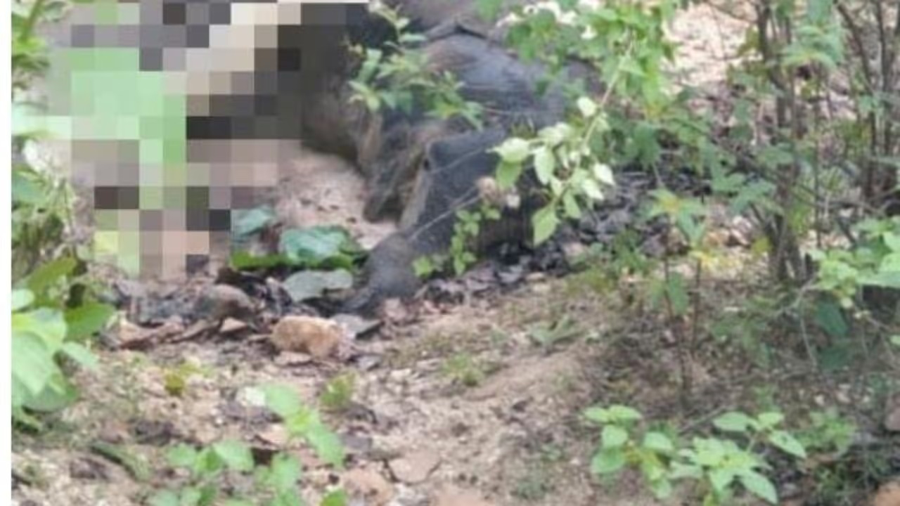 w-1280,h-720,croprect-1x0x1278x719,imgid-01khr15tskv54d8kb4k49dtbmp,imgname-fotojet--51--1771406814003 (1)