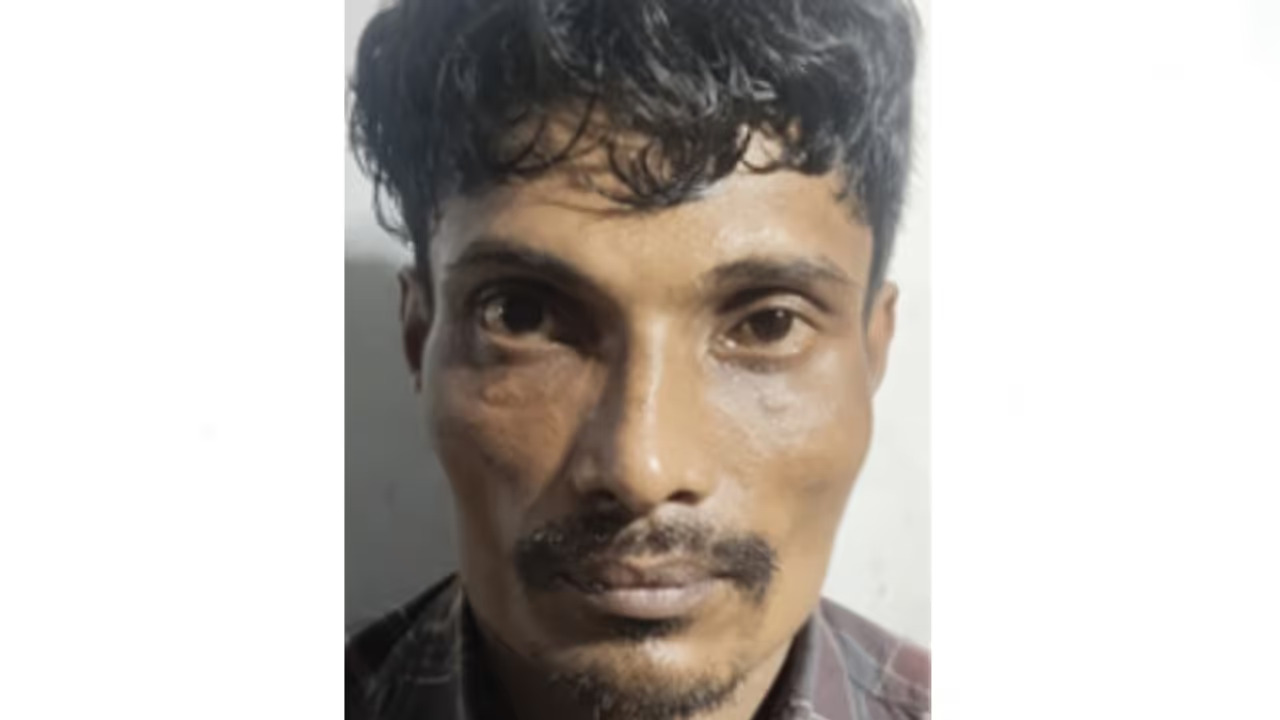 w-1280,h-720,croprect-1x0x1278x719,imgid-01kj9v0vypmengrg4htjf4k6cn,imgname-ganja-mdma-1772004339670