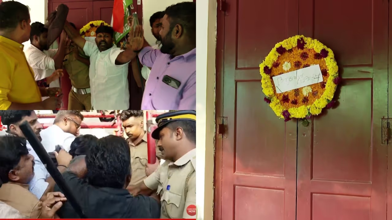 wmremove-transformed (4)