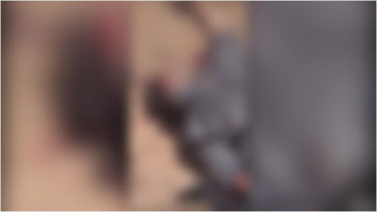 w-1280,h-720,croprect-0x0x1280x720,imgid-01kknjvhd187mfzfnha2fdkgnr,imgname-fotojet---2026-03-14t123838.807-1773472171425