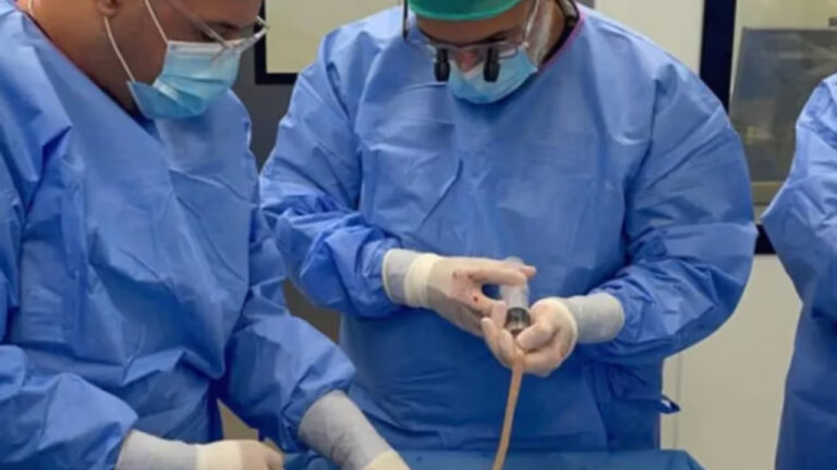 w-1280,h-720,croprect-0x3x700x394,imgid-01jzfg5rccy3a3gmd4040getd3,imgname-fotojet---2025-07-06t143353.766-1751793197452