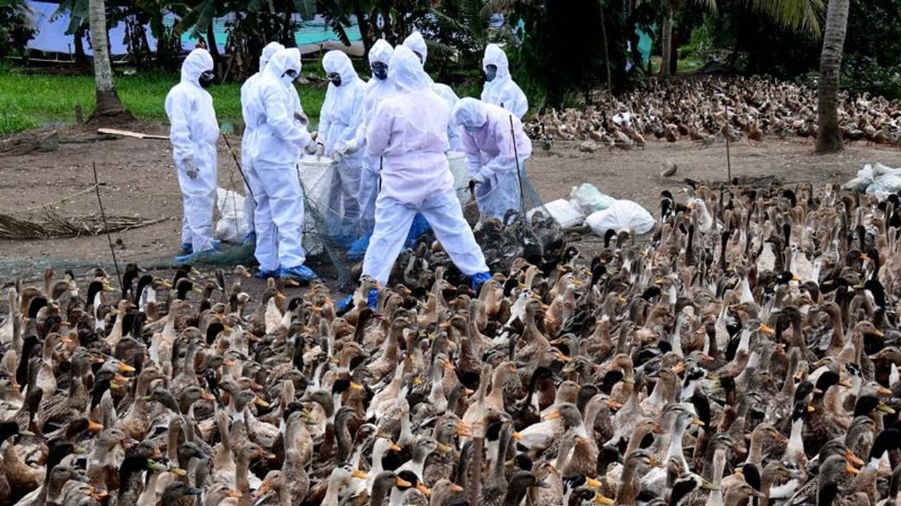 w-1280,h-720,format-jpg,imgid-01fphtbypw5mj294fvgr4j6dh4,imgname-whatsapp-image-2021-12-10-at-1-41-19-pm--7-