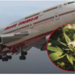 Screen Shot 2026-04-18 at 1.02.16 PM