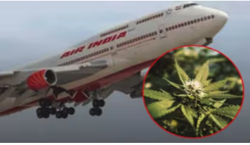 Screen Shot 2026-04-18 at 1.02.16 PM