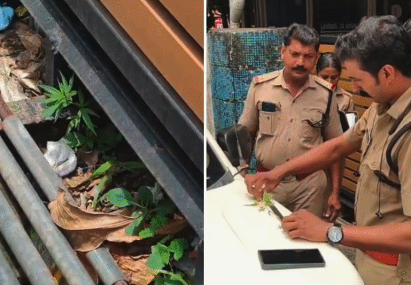 Screen Shot 2026-04-18 at 1.27.58 PM